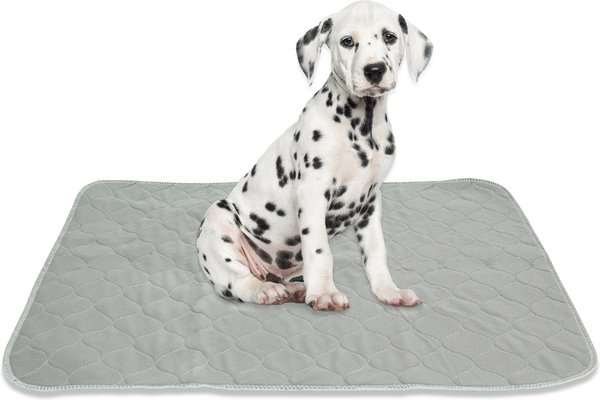 Rocket & Rex Washable Puppy Training Pads, Medium: 22 x 22-in, 2 count, Unscented slide 1 of 9