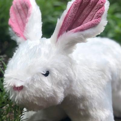 Show full view: HuggleHounds Squooshies Durable Plush Squeaky Dog Toy, Bunny slide 4 of 8