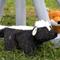 Show in main carousel: HuggleHounds Squooshies Durable Plush Squeaky Dog Toy, Skunk slide 3 of 8