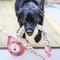 Show in main carousel: HuggleHounds Rope Knotties Dog Toy, Bunny, Large slide 3 of 9