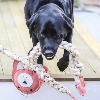 Show full view: HuggleHounds Rope Knotties Dog Toy, Bunny, Large slide 3 of 9