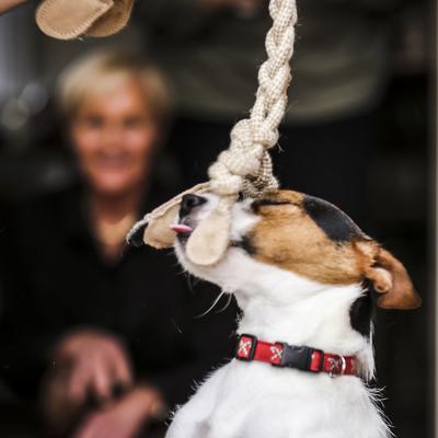 Show full view: HuggleHounds Rope Knotties Dog Toy, Monkey, Large slide 3 of 10