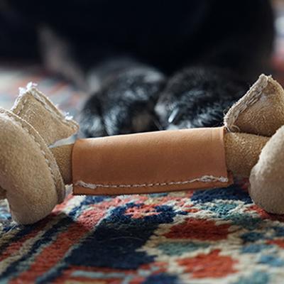 Show full view: HuggleHounds HuggleHide Bone Dog Toy, Small slide 4 of 8