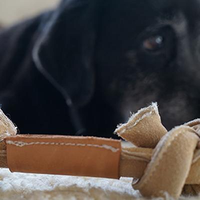 Show full view: HuggleHounds HuggleHide Bone Dog Toy, Medium slide 5 of 7