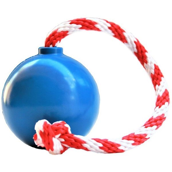 Frisco Holiday Christmas Light Rope with TPR Squeaky Dog Toy