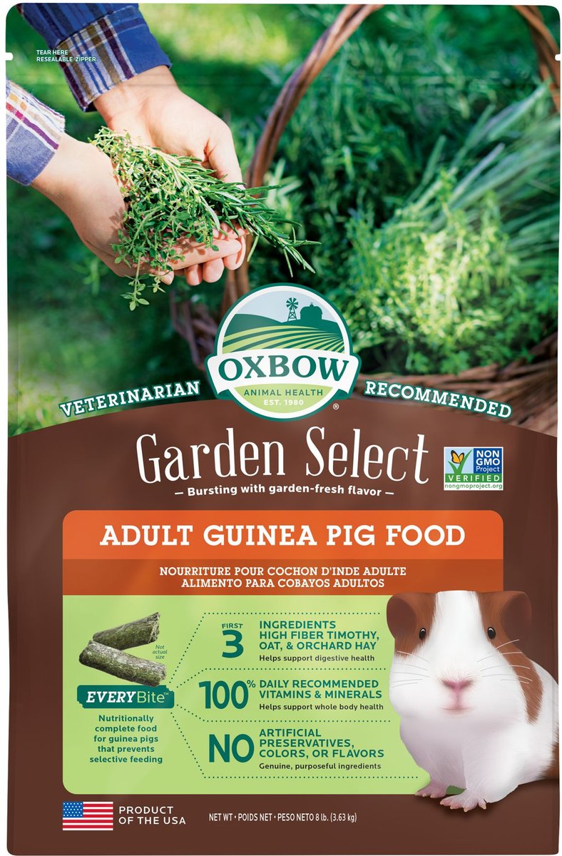 Oxbow guinea pig store food