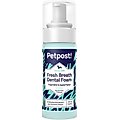 Petpost Fresh Breath Mint & Apple Flavor Dog Dental Foam, 5-oz bottle