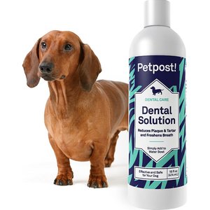 Petpost Dental Solution Dog Dental Water Additive, 16-oz bottle