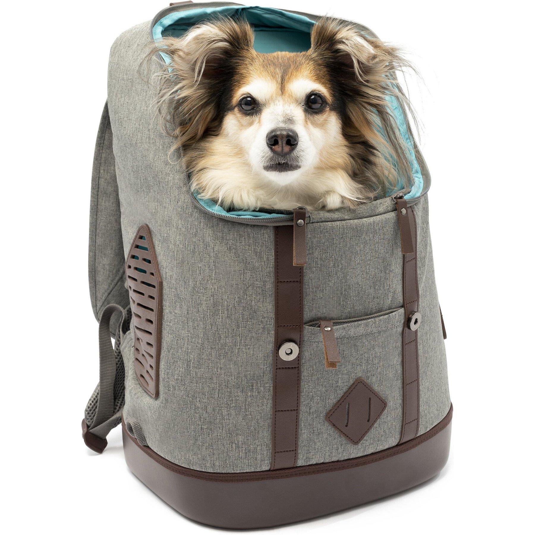 Katziela Rolling Pet Carrier Airline Approved - Pet Carrier with Wheels -  Luxury Lorry - Deluxe TSA Approved Cat Carrier with Wheels - Small Airline  Approved Dog Carrier Trolley - Plane Carry On Bag