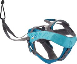 Kurgo Long Hauler Joring Nylon Reflective Back Clip Dog Harness, Coastal Blue, Small: 16 to 22-in chest