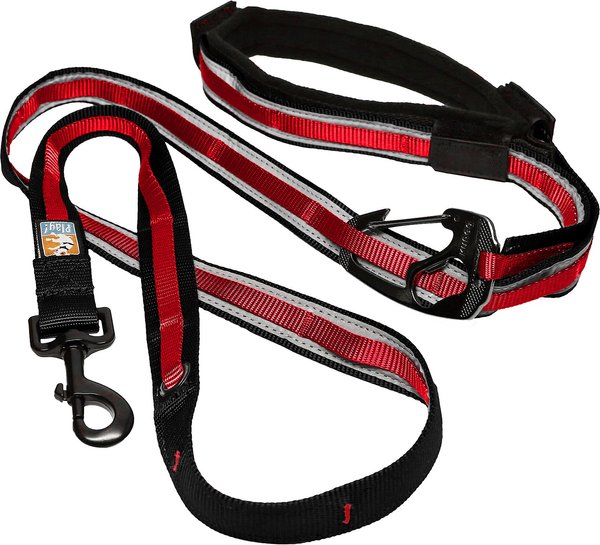 Kurgo Reflect & Protect Quantum Nylon Hands-Free Running Dog Leash, Red, 6-ft long, 1-in wide slide 1 of 8