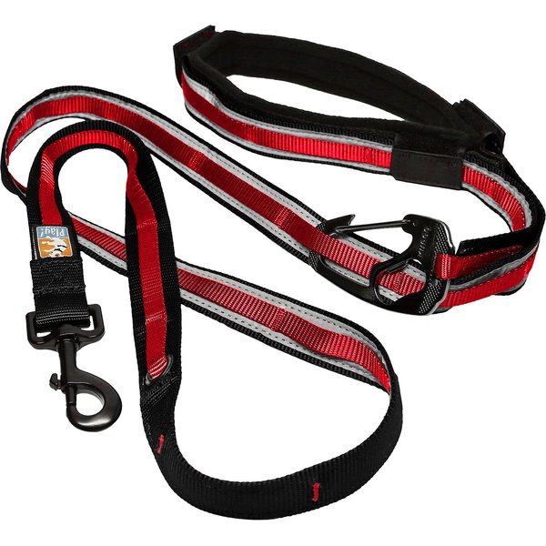 KURGO Reflect & Protect Quantum Nylon HandsFree Running Dog Leash, Red
