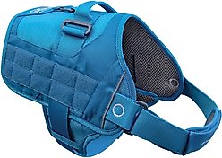 Kurgo RSG Townie Polyester Reflective Back Clip Dog Harness, Coastal Blue/Charcoal Gray, Small: 16 to 22-in chest