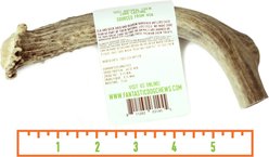 Fantastic Dog Chews Deer Antler Dog Treat, Small slide 2 of 3