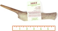 Fantastic Dog Chews Whole Elk Antler Dog Chew slide 2 of 3