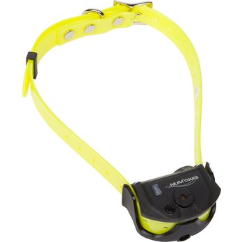 iPets PET618 Waterproof Dog Training Collar