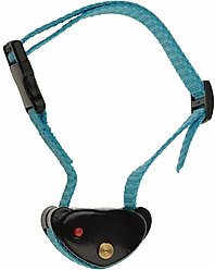 Eyenimal Deluxe Lemon Scented Spray No Bark Dog Collar, Black 