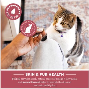 Greenies Feline SmartBites Healthy Skin & Fur Natural Salmon Flavor Soft & Crunchy Adult Cat Treats, 4.6-oz bag