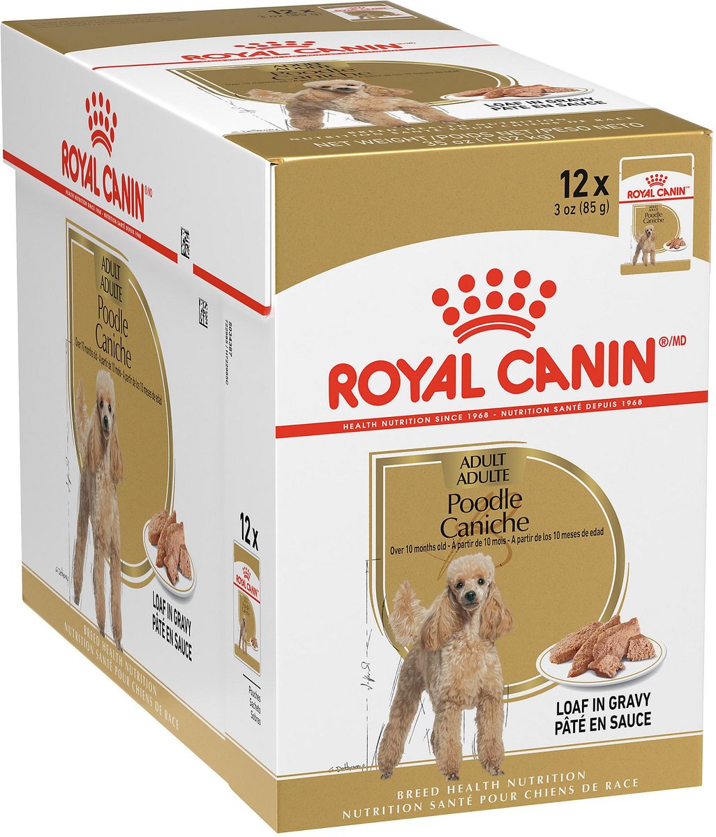 Royal canin poodle puppy hot sale food