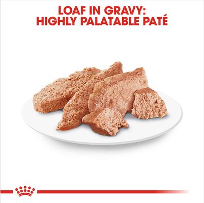 Show full view: Royal Canin Breed Health Nutrition Chihuahua Adult Loaf In Sauce Dog Food, 3-oz, case of 12 slide 4 of 13