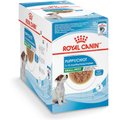 Royal Canin Size Health Nutrition Small Puppy Chunks in Gravy Dog Food Pouch, 3-oz, case of 12