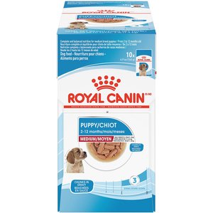 ROYAL CANIN Size Health Nutrition Medium Puppy Chunks in Gravy Dog Food Pouch, 4.9-oz, case of - Chewy.com