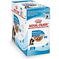 Royal Canin Size Health Nutrition Large Puppy Chunks in Gravy Dog Food Pouch, 4.9-oz, case of 10