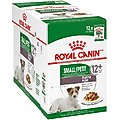 Royal Canin Size Health Nutrition Small Aging 12+ Chunks in Gravy Dog Food Pouch, 3-oz, case of 12