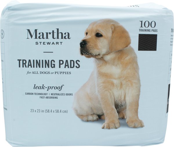 GREEN LIFESTYLE Blue Reusable Dog Pee Pads, 2-pack, 48 x 48-in 