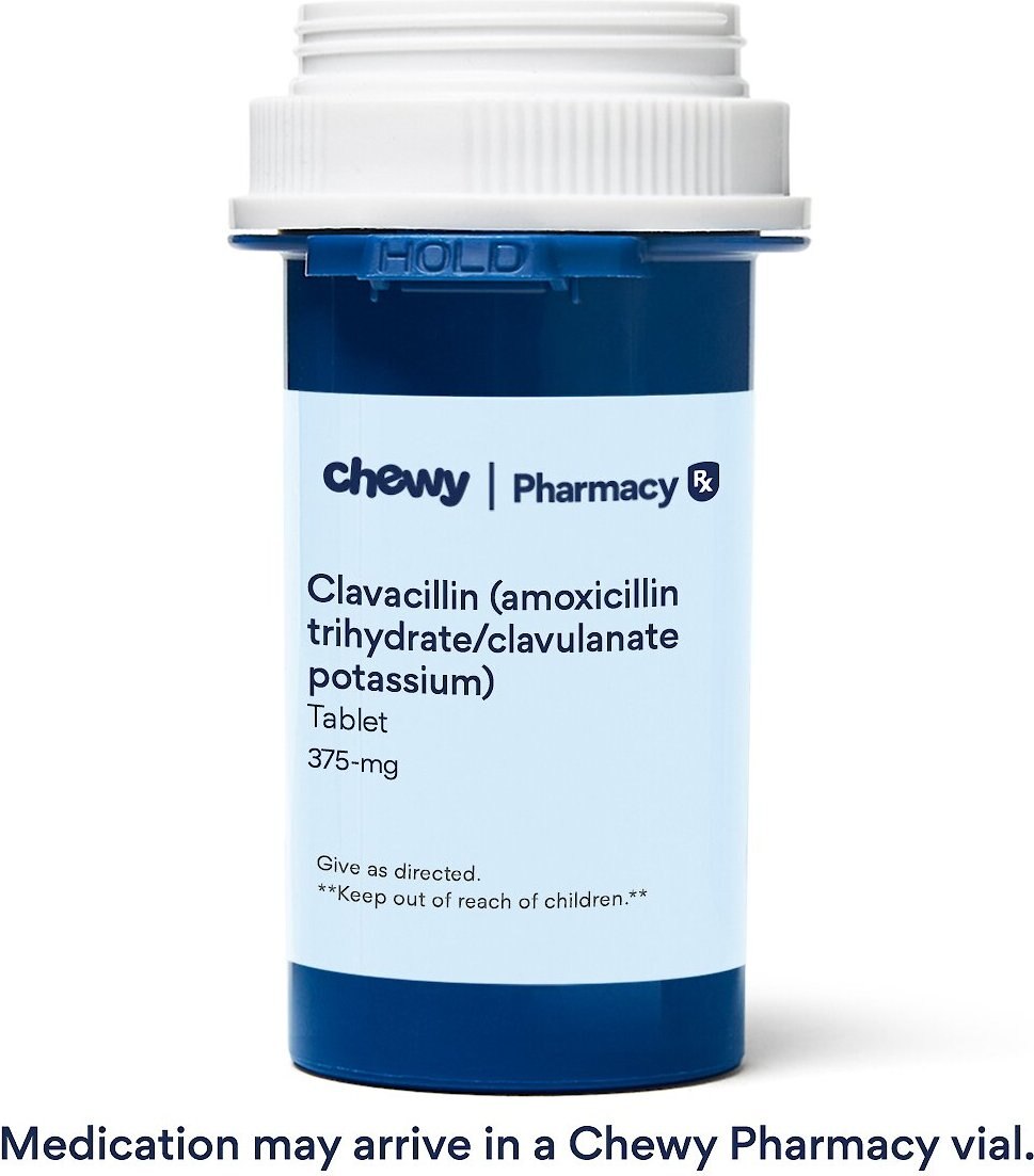 generic amoxicillin clavulanate
