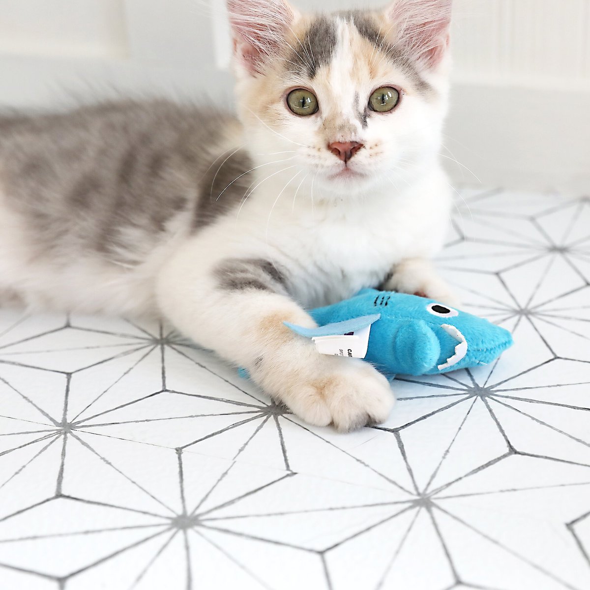 MAD CAT Shark Biter Catnip & Silvervine Cat Toy