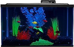 GloFish Aquarium Kit, 10-gal