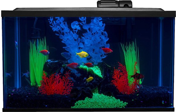 GloFish 10 Gallon Aquarium Fish Tank Kit with LED Filter Heater and Decor