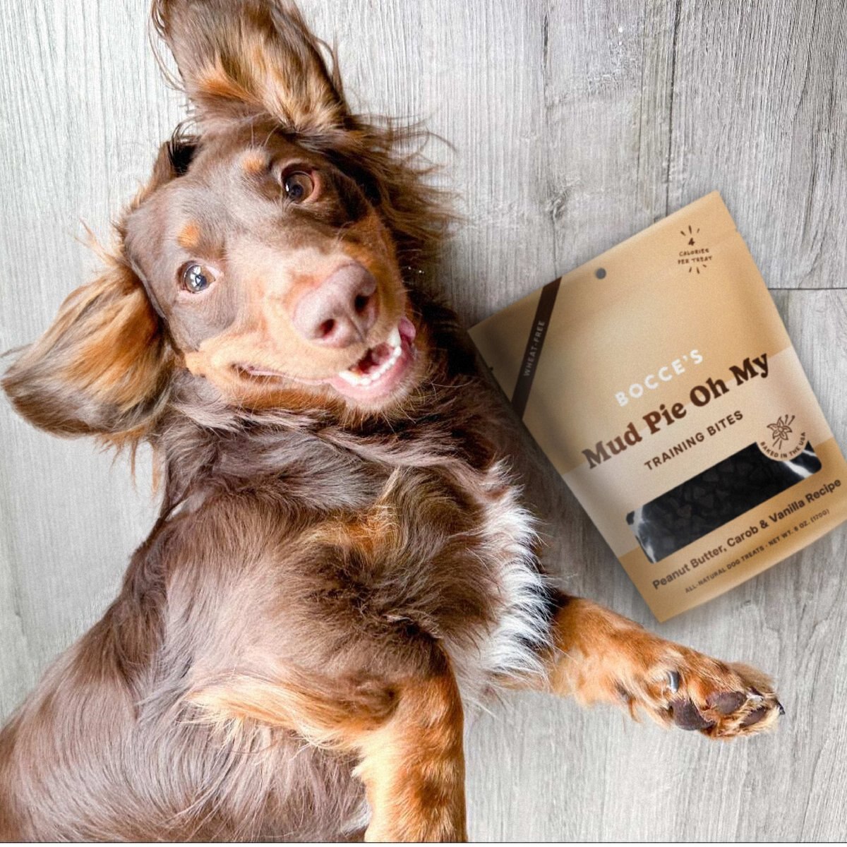 Bocce's Bakery Mud Pie Oh My Biscuits Dog Treats