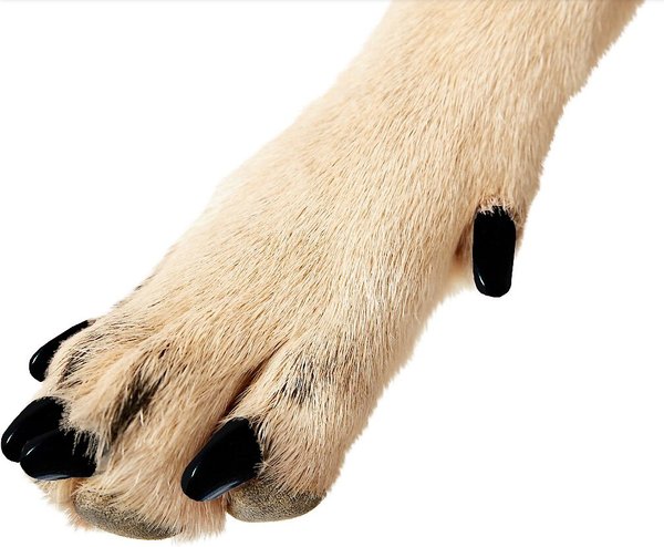 PURRDY PAWS Soft Dog Nail Caps, Black, Large, 40 count - Chewy.com