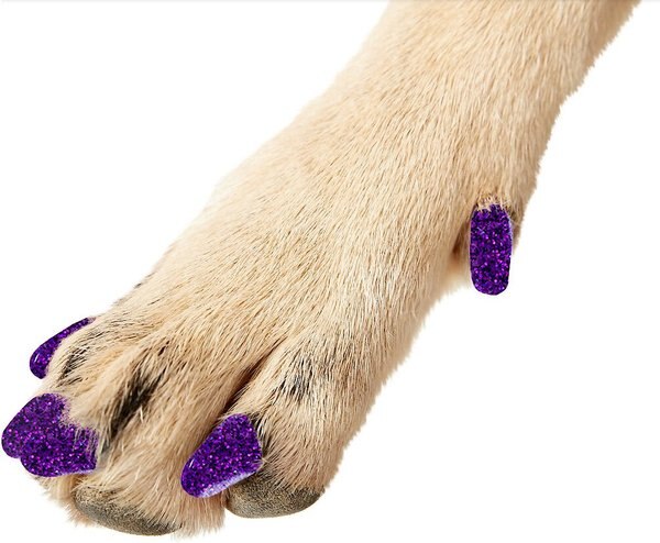 Purrdy Paws Soft Dog Nail Caps, Purple Glitter, XXX-Large, 40 count slide 1 of 10