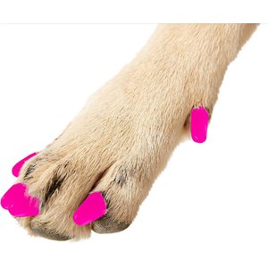 Purrdy Paws Soft Dog Nail Caps, Lipstick Pink, Small, 40 count
