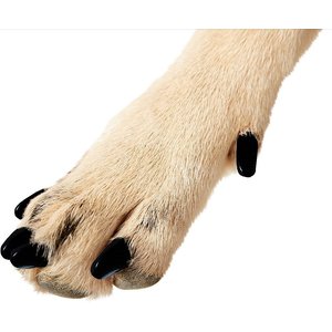 Purrdy Paws Soft Dog Nail Caps, Black, Medium, 20 count