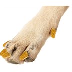 Gold Glitter