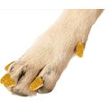 Purrdy Paws Soft Dog Nail Caps, Gold Glitter, X-Large, 20 count