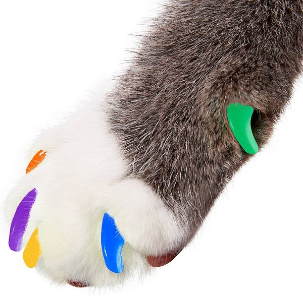 Purrdy Paws Soft Cat Nail Caps, Rainbow, Large, 40 count slide 1 of 9