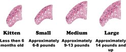 Purrdy Paws Soft Cat Nail Caps, Pink Glitter, Medium, 40 count slide 2 of 7
