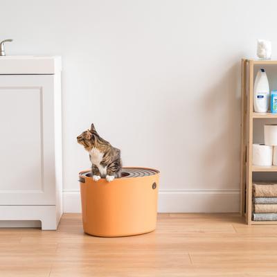 Show full view: IRIS Round Top Entry Cat Litter Box & Scoop, Orange slide 3 of 10