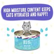 BFF OMG Be Happy! Chicken & Beef In Gravy Wet Canned Cat Food, 2.8-oz ...