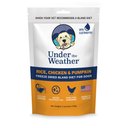 Under the Weather Rice, Chicken & Pumpkin Flavor Freeze-Dried Dog Food, 6-oz bag