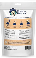 Under the Weather Rice, Chicken & Pumpkin Flavor Freeze-Dried Dog Food, 6-oz bag slide 2 of 7