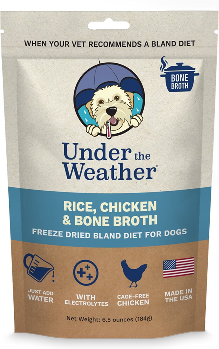 Chicken broth in dog cheap water