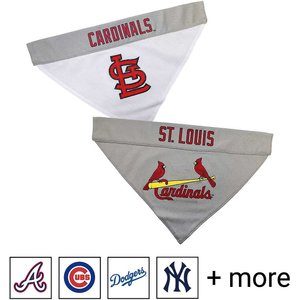 Quick-Tag St. Louis Cardinals MLB Personalized Engraved Pet ID Tag