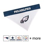 KITTY TOYS NFL PHILADELPHIA EAGLES FOOTBALL FIELD CAT SCRATCHER TOY with  CATNIP Filled Plush FOOTBALL Toy & Feather Cat Toy hanging, with Jingle  Bell