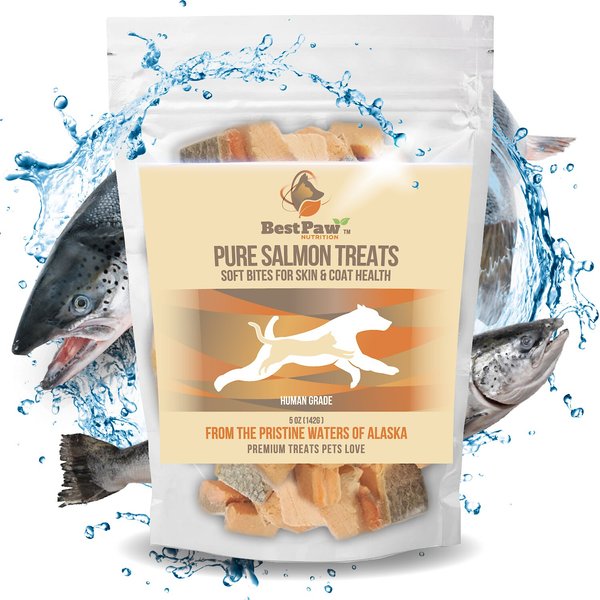 Best Paw Nutrition Wild Alaskan Salmon Grain-Free Freeze-Dried Dog & Cat Treats, 5.6-oz bag slide 1 of 9